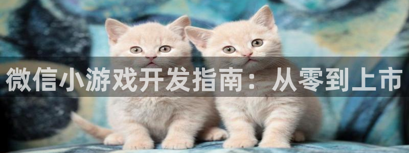 沐鸣2平台官网登录