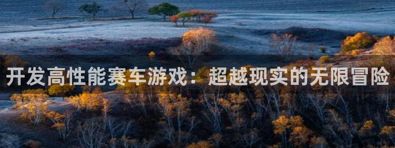 沐鸣2代理酋27337：开发高性能赛车游戏：超越现实的无限冒险