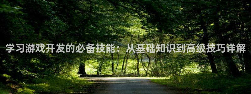 沐鸣娱乐平台2注册：学习游戏开发的必备技能：从基础知识到高级技巧详解
