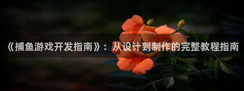 沐鸣2挂机注册：《捕鱼游戏开发指南》：从设计到制作的完整教程指南