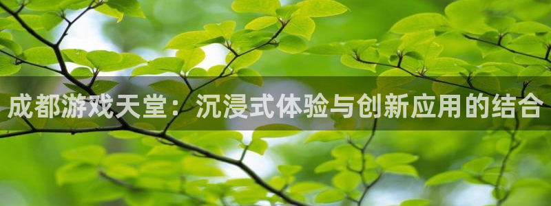 沐鸣2注册丘27337：成都游戏天堂：沉浸式体验与创新应用的结合
