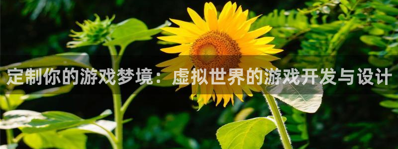 沐鸣2注册登入：定制你的游戏梦境：虚拟世界的游戏开发与设计