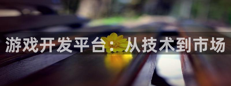 沐鸣2注册丘27337：游戏开发平台：从技术到市场