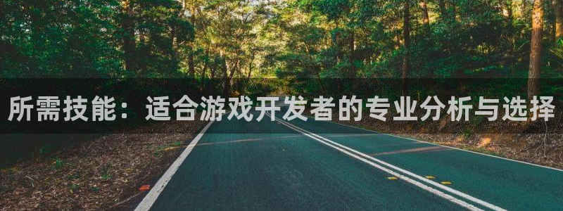 沐鸣娱乐2手机下载破解版：所需技能：适合游戏开发者的专业分析与选择